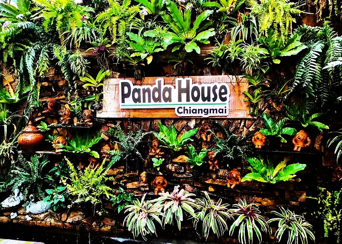 แพนด้า เฮ้าส์ เชียงใหม่ Hostel